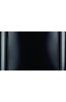 Aquecedor de Agua a Gás Eletrônico E33 TOP Rinnai GN Preto